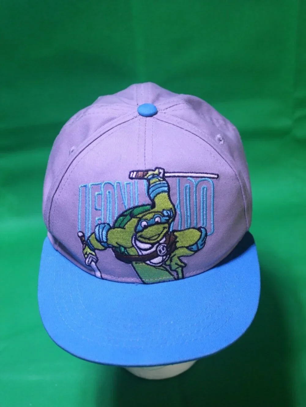 Teenage Mutant Ninja Turtles Leonardo Adjustable Hat Cap Youth